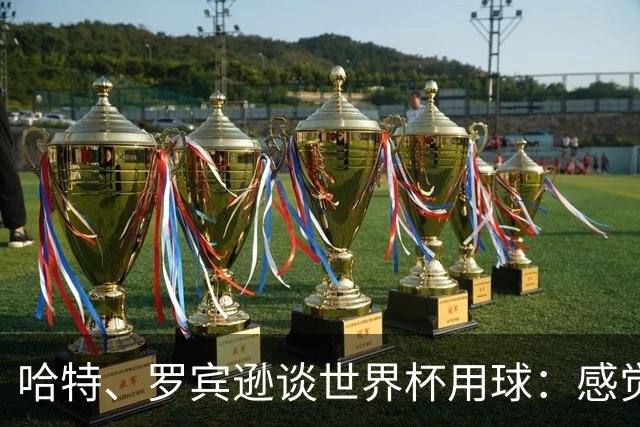 哈特、罗宾逊谈世界杯用球：感觉球员有点不适应，今年远射特别多